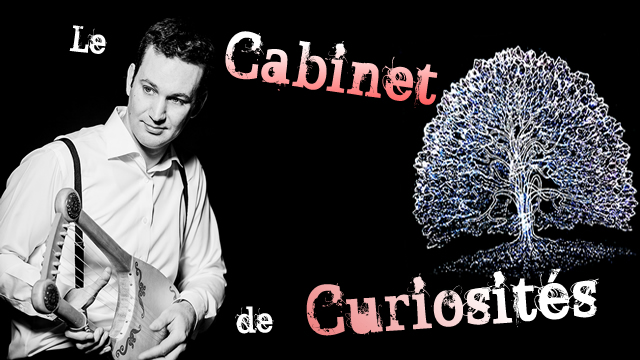 Cabinet de curiosit de Guillaume LOUIS